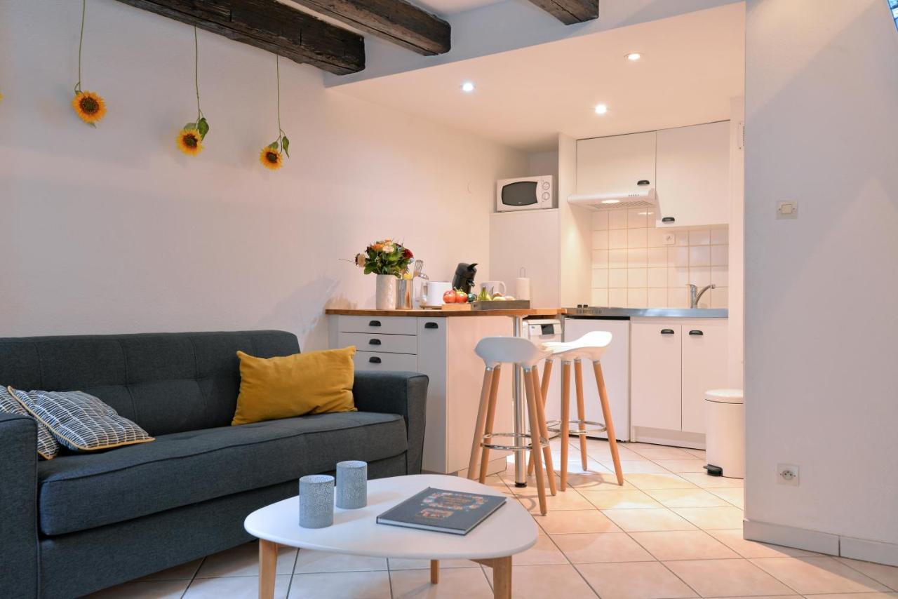 Appartement La Terrasse Sur Cour Colmar Eksteriør billede